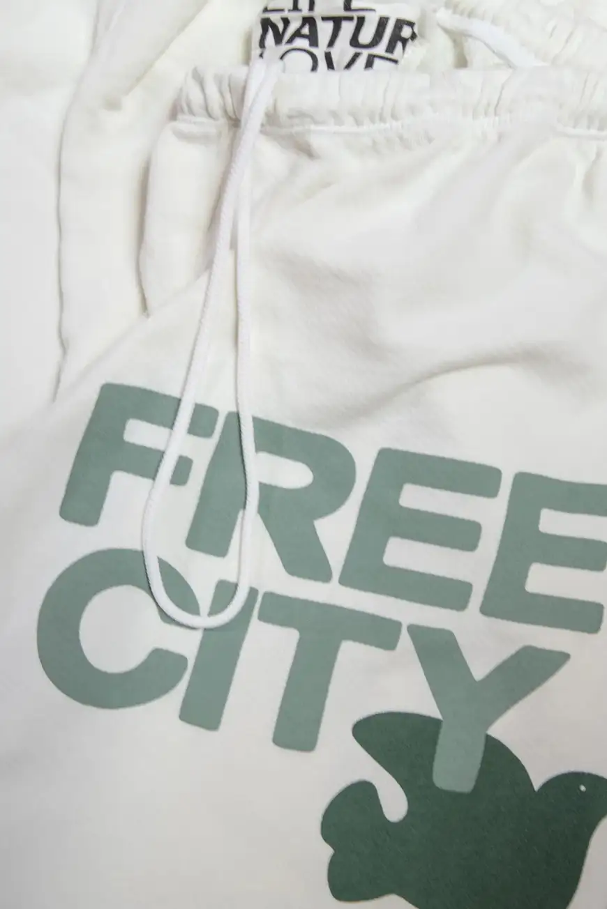 Fcbswp100 Creamycactus 2